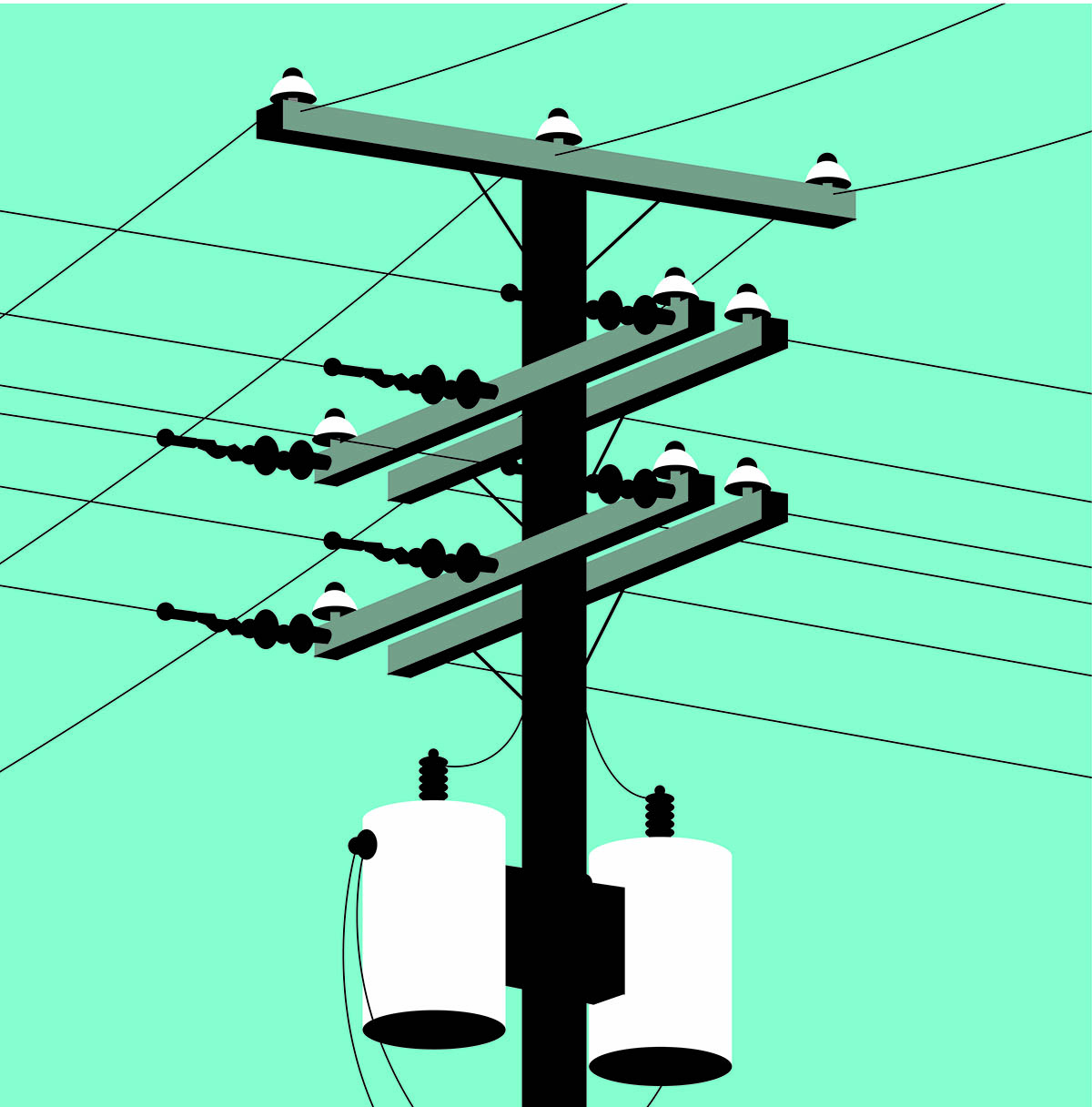 Top of eletric pole