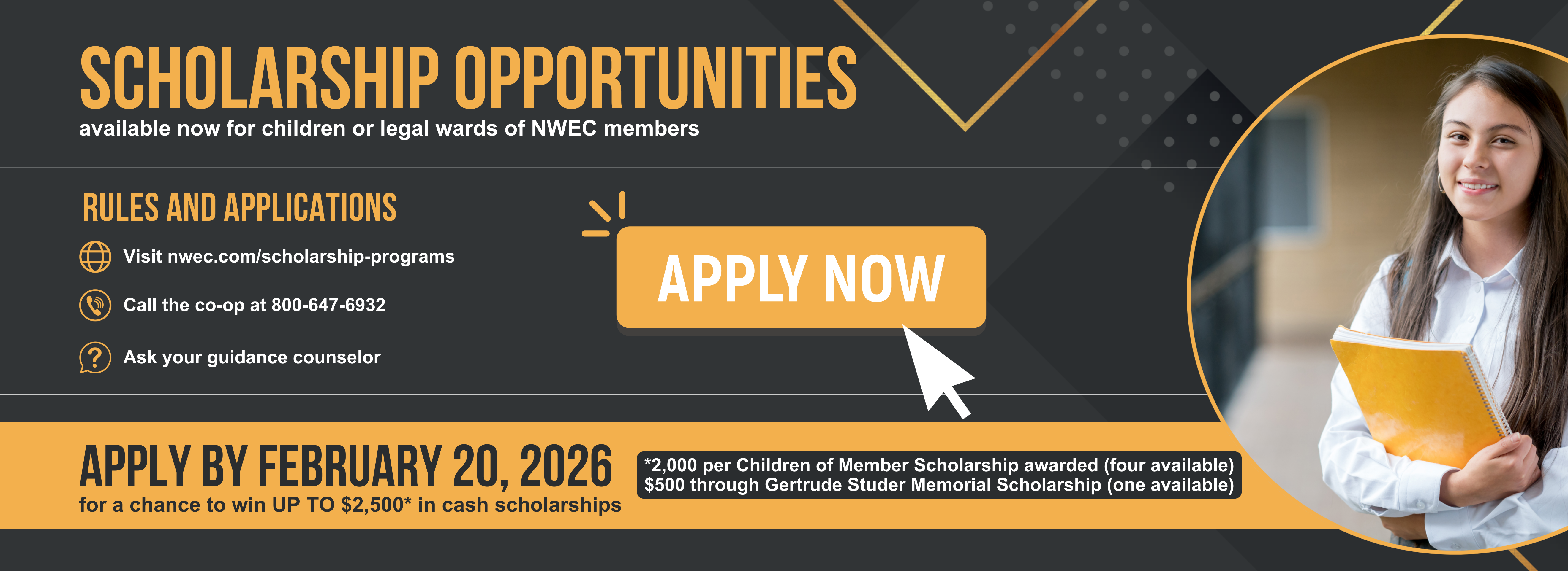 graphic about scholarships with young girl on the right side