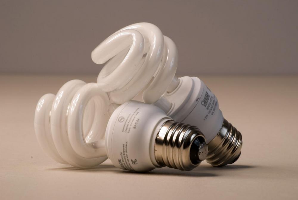 Two CFL bulbs