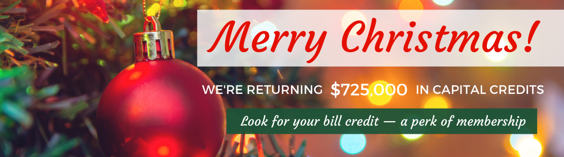 NWEC%202020%20Capital%20Credits%20-%20web%20banner.png