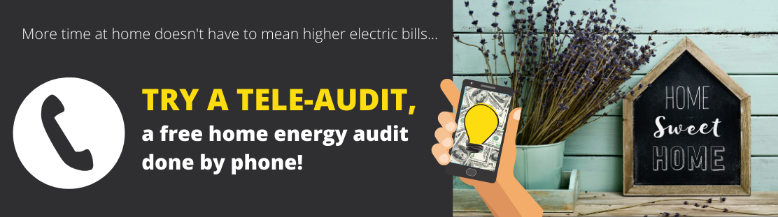 nwec_teleaudit_web_banner.png